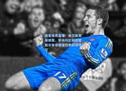 海星体育直播：米兰体育报披露，罗马与比利亚雷亚尔有意租借热刺前锋特尔