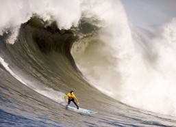 海星体育-邮报独家透露，维尼修斯赛后奔赴迪拜，与旅游局共促全球推广