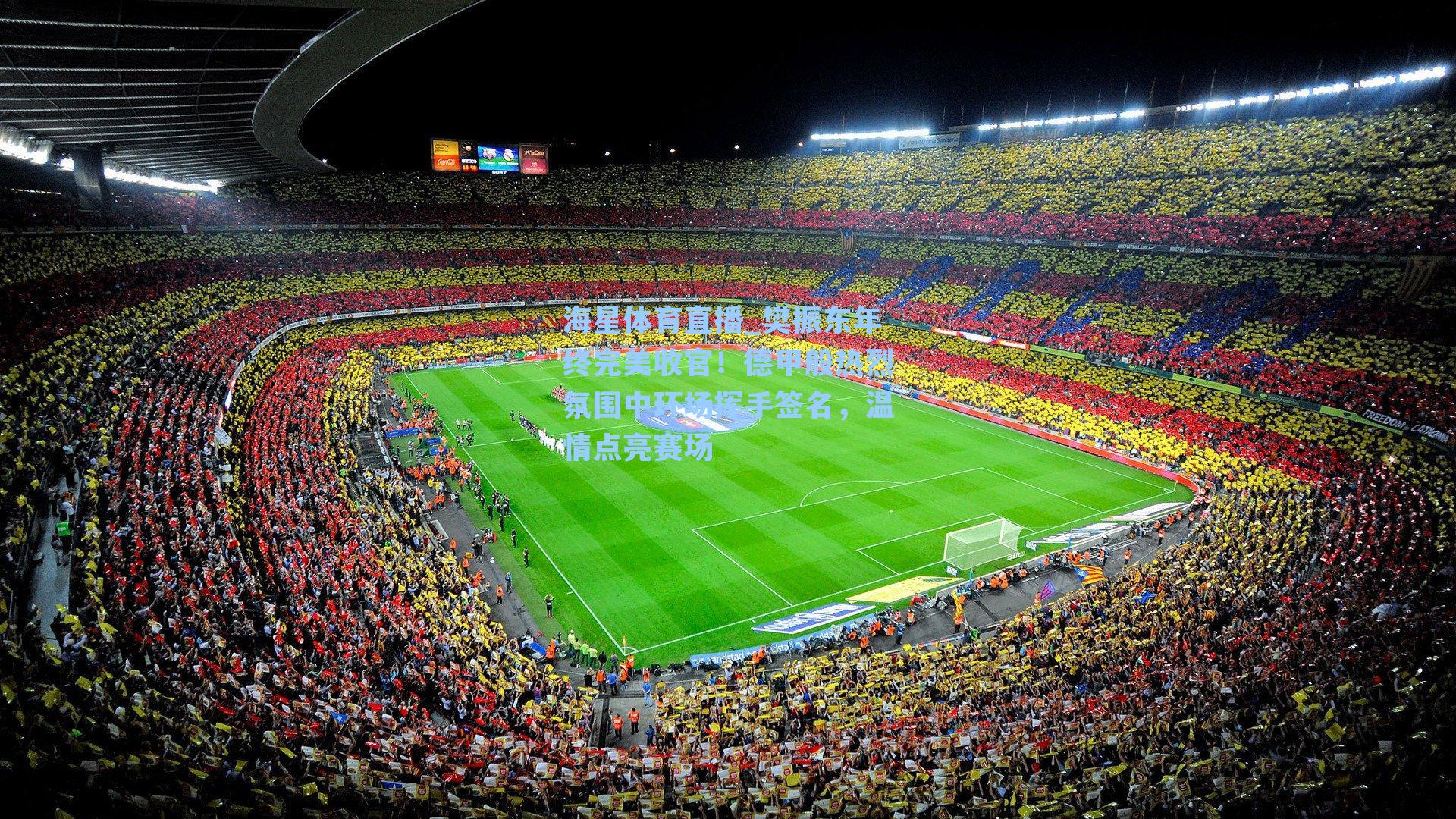 樊振东年终完美收官！德甲般热烈氛围中环场挥手签名，温情点亮赛场