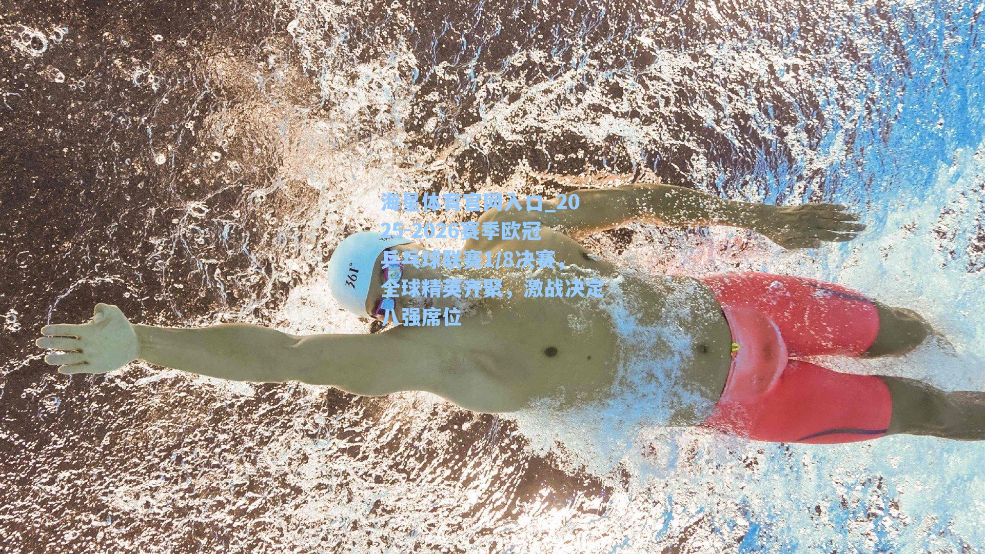 2025-2026赛季欧冠乒乓球联赛1/8决赛，全球精英齐聚，激战决定八强席位